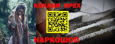 прущие крисы Кимры