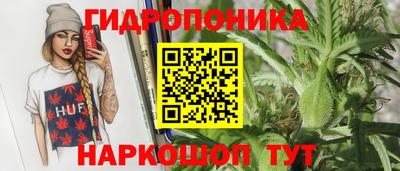 прущие крисы Кимры