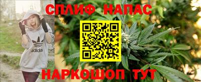 прущие крисы Кимры