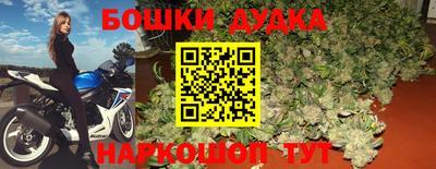 прущие крисы Кимры