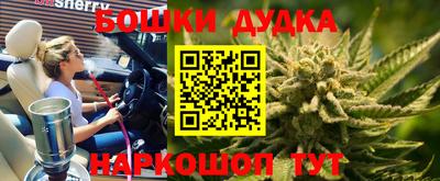 прущие крисы Кимры