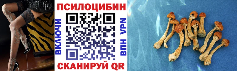 МЕГА онион  Калуга  Галлюциногенные грибы Cubensis 
