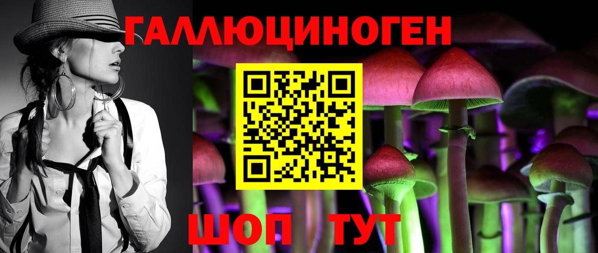 Псилоцибиновые грибы Psilocybe  Вход с VPN  Калуга  Псилоцибиновые грибы Psilocybine cubensis 
